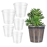 Happyyami 6 Stück Phalaenopsis Topf Transparente Blumentöpfe Blumentöpfe Gartentöpfe Pflanzgefäße Für Den Innenbereich Sämlingstöpfe Töpfe Mit Drainage Pflanztöpfe Transp
