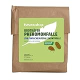 Futura-Shop Pheromonfalle für Brotkäfer Stegobium paniceum | Klebefalle mit natürlichem Lockstoff zur Befallsermittlung & Bekämpfung | Giftfrei & geruchsneutral für den M