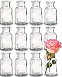 Praknu 12 Kleine Glasvasen - 10 cm hoch - Inklusive Juteschnur - Vintage Design - Traumhafte Deko für Hochzeit - Spülmaschinenfest Mini Vasen für Tischdeko - Kleine Vasen für Tischdek