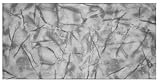 Polystyrol Paneele, Deckenpaneele XL Wandpaneele, Dekoren, Marmor Imitat Decken - Wandverkleidung, 3mm dick - 100x50cm 16m² - 32 Stück (Grau 122 XL)