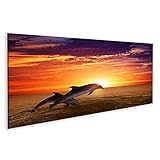 islandburner Bild auf Leinwand Delfin Springende Delfine Schöner Roter Sonnenuntergang Am Meer Bilder Wandb
