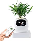 Intelligenter Blumentopf, Blumenkasten mit KI-Guide für Haustiere, zur Pflanzenpflege, Pflanzentopf, für Innenbereich, Haus, Büro, Wohnzimmer, Schlafzimmer, Balkon, Terrasse, Valentinstag