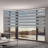 Verdunklungsrollo Klemmfix 100 x 240 cm Hitzeschutz Energiesparend Duo Rollo Fenster Rollo Inkl. Zubehör für Fenster Und Tür, Hellg