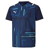 PUMA teamULTIMATE Trikot Kids Blau F06