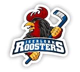 Iserlohn Roosters Sticker, Aufkleber, Doppelpack, mehrere Größen (15)