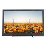 11,6 Zoll IPS Bildschirm, Dual Typ C Micro HDMI Display, Erfrischender 60 Hz Gaming Display mit 1920 X 1080, Tragbarer Sekundärer Bildschirm, Reise Gaming Display