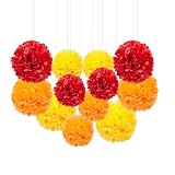 Rot Orange und Gelb Seidenpapier Pompons,Rot Orange und Gelb Papier Blume für Hochzeit,Geburtstag,Party(12 Stück)
