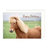 Edition Seidel Premium Geburtstagskarte mit Umschlag. Glückwunschkarte Grusskarte Billet Happy Birthday Mann Frau Kind Geburtstag Pferd Tierkarte Karte (G3157 SW023)