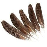 ROCILB 10 Teile/los Natürliche Echte Eule Adler Federn für Handwerk 25-40CM 10-16 'Fasan Feder Hochzeit Dekoration Hü