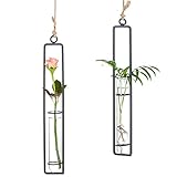 Sziqiqi Kreativer Glasvase aus Schmiedeeisen, Hängender Behälter für Wasserkultur, Hängende Flasche Reagenzglas für Blumen, Hängende Betriebsdekoration im Wohnzimmer Garten, Schw