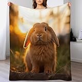 AAPZY Kaninchen Flanell Fleece Decke, Kuscheldecken, Superweiche Leichte Flannel 3D Für Couch Bett Flauschige Wohndecke （180×200cm）