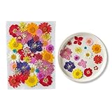 35 Stück Gepresste Blumen für Harzformen, Natürliche Trockenblumen für DIY Schmuckherstellung, Nageldesign und Gesichtsmakeup, Echte Getrocknete für Kreative Bastelarb