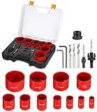 Lochsäge Set jutyum Bohrer Set 19 PCS Metall Dosenbohrer Lochbohrer Kreisschneider Verwendet für Holzbrett, PVC-Brett, Plastikb