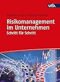 Risikomanagement im Unternehmen Schritt für Schritt: Professionelle Excel-Modelle leicht erk