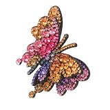 VALICLUD Butterfly obere dekorative Schnalle Mini-Zubehör hohle Halterung Schmuck Abnehmbarer Schuhverschluss DIY Schuhverzierung elegante Schuhschnalle Schuhzubehör für Absätze W