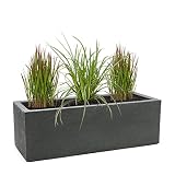 Pflanzwerk® Pflanzkübel TUB Anthrazit 27x80x30cm XXL – Rechteckig – Großer Kunststoff Garten Blumenkübel für außen und innen - Frostsicher - UV-Schutz - 2 Jahre G