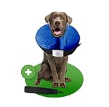 MC-Royal®Premium Halskrause - aufblasbare Premium Halskrause für Hunde und Katzen [zuverlässiger Schutz] - Halskrause Hund - hundekragen leckschutz- Halskrause Katze - Leckschutz Hund - Blau - Gr.L