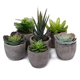 T4U 6er Set Klein Kunstpflanze Sukkulenten Künstlich Dekorative Kunstpflanzen wie echt Pflanzen mit Topf, Deko Fake Plant für Hochzeit Büro Zuhause Wohnung Wohnzimmer Badezimmer Dek