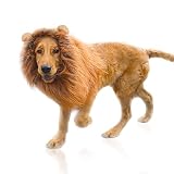 Löwenmähne Perücke für Hundekostüm mit Ohren, verstellbar, für Cosplay, Urlaub, Fotoshootings, Party, ausgefallener Löwenhut, Party, Aktivität, Hellb