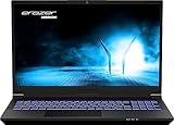 Medion ERAZER Deputy P40 15,6/i5/512/RTX4060 8GB
