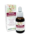 Impatiens oder Drüsentragendes Springkraut (Impatiens glandulifera) Emotionale Blumen oder Bach-Blüten Naturalma - Tropfen 30 ml - Alkoholfreier Flüssigextrakt - Blütenessenzen - Veg