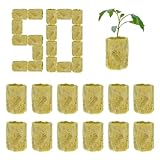 JOYOLA 50 Stück Rockwool Cube, Steinwolle Anzucht Steinwolle Plugs Steinwolle Pflanzenstopfen Steinwolle Cube Hydroponic Sämling Steinwolle Würfel für Stecklinge Anbau von Sämling Gemü