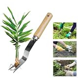 BUENTYA Unkrautstecher mit stiel Löwenzahnstecher Edelstahl Unkrautjäter mit Holzgriff Gartenkralle Hand Unkrautkralle Unkrautzieher Distelstecher Garten Manueller Weeder Wurzelentferner für G