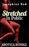 Stretched in Public Erotica Bundle: Dirty and Explicit Sex Stories for Adults (English Edition)