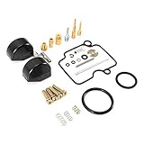 Mikuni Vergaser-Umbausatz, Motorrad-Vergaser-Reparatursätze Zubehör für YM VM22 YBR125 JYM125 Mikuni VM22