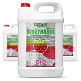 GiDeli bioethanol 3 x 5 l mit Walderdbeerduft 96,6% Ethanol für Innen & Außenkamine Rauch und Rußfrei - Aus Mais & Zuckerrüb