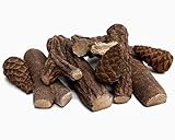 shoperama 9-teiliges Keramikholz-Set Deko-Holz für Bio-Ethanol und G