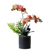 Künstliche Blumen, künstliche Phalaenopsis-Blumenarrangement, künstliche Orchideenblüten im Topf, künstliche Blumenpflanze für die Heimdekoration, künstliche Blumen zur Dekoration (einfarbig B)