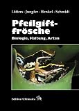 Pfeilgiftfrösche: Biologie, Haltung,