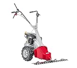 AL-KO Balkenmäher BM 875 IV, 2.7 kW Motorleistung, 87 cm Arbeitsbreite, für Flächen bis 3000 m², schwingungsgedämpfter und höhenverstellbarer Führung