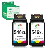 COLORETTO CL-546XL (2 Farbe) Ersatz-Tintenpatrone für Wiederaufbereitete Druckerpatronen für Canon 546 XL zur Verwendung mit Pixma MG2555S iP2850 MG2450 MG2550S MG2950 MG3050 MG3051 MG3052 MX495