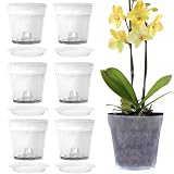 Voarge 6 Stück Transparent Orchideentöpfe, Pflanztöpfe mit Löchern und Untertassen Orchideen Für Indoor Outdoor Balkon Schreib