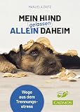 Mein Hund gelassen allein daheim: Wege aus dem Trennung