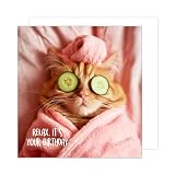 Edition Seidel Premium quadratische Geburtstagskarte mit Umschlag. Glückwunschkarte Happy Birthday Tier Karte Mann Frau Coole Katze Humor Lustig Relax (GQ150 SW024)
