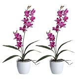 2er Set Orchidee Dendrobie 60cm, 4 Blätter, lila, im Keramiktopf Kunstp