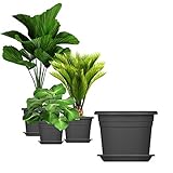 BigDean 3X Blumentopf Ø 25 cm Farbe Anthrazit & Untersetzer Kunststoff Pflanztopf Containertopf Übertopf Pflanzkübel rund 25 x 18 cm Blumentöp