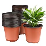 KINGLAKE GARDEN Kunststoff-Pflanzentopf, 15,2 cm, 120 Stück, für Gartenarbeit, Samen, Setzling, Blumenbehälter für Setzlinge, Sukkulenten, Umpflanzen, Innen- und Außenpflanzen (braun)
