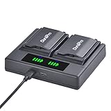 DuraPro 2X 2400mAh Akku + LED Dual USB Ladegerät mit Typ C-Port für Sony PSP-S110 PSP 2000 3000 Konsole (2001, 2002, 2003, 2004, 2005, 2006, 2007, 2008, 2010), PSP 3000, PSP Lite, PSP S