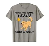 Klassische Konditionierung Lerntheorie Pawlowsche Hund T-S
