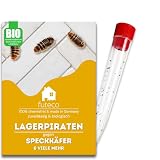Futeco® – Speckkäfer & vieles mehr bekämpfen mit Lagerpiraten (30 Tiere in Kunststoffröhre) – für ca. 15 m² – 100% Biologisch, Chemiefrei & Natürlich – Made in Germany