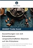 Auswirkungen von mit Kakaobäumen vergesellschafteten Bäumen auf die Prävalenz: und die Konfiguration der Ausbrüche der Krankheit Cocoa swollen shoot virus in der Zone Fresco-Süd der Elfenbeinkü
