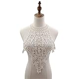 GIVBRO Spitzenkragen mit Blumenapplikationen und Blumenranke, bestickt, Kunstkragen, Zubehör für T-Shirt, Kleid, Pullover, Dekoration, Basteln, Beig
