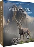 Bildband – Wilde Alpen: Die einzigartige Welt ihrer Tiere und Pflanzen in eindrucksvollen Naturfotografien. Ein Buch über die faszinierende Vielfalt der Wildtiere in der alpinen N