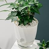 Generisch Blumentopf mit Bewässerungssystem, Blumentopf Kunststoff Minimalistischer Transparenter Pflanzkübel Außen Und Innen, Flower Pot Pflanzschalen für Draussen Pflanzschale Pflanzen Zubehö