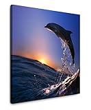 EAUZONE GmbH Delfin im Meer mit Wellen 60x60cm Wandbild auf Leinwand, Kunstdruck Moderne B