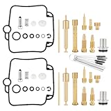 Dokili 2 Sätze Motorrad-Vergaser-Reparatursatz, Carb Float Needle Rebuild Tool Ersatz Passend für F650 Mikuni BST 33 1993-2000,für Suzuki GS500E, GS 500